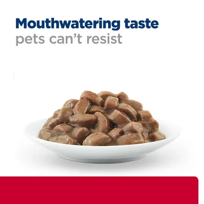 Bowl of meaty chunks in gravy with the text 'Mouthwatering taste pets can’t resist' above, highlighting product appeal for pets.