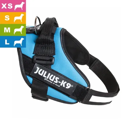 Pettorina per cani Julius-K9, visibile in tessuto blu e nero con scritta 'JULIUS-K9 glowing in dark'. Taglie disponibili: XS, S, M, L indicate da icone di cane colorate.