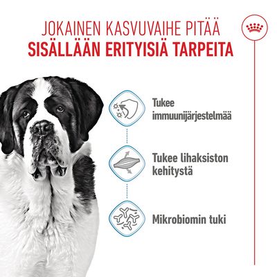 Grafiikka, jossa on koira ja kolme symbolia: immuunijärjestelmän tukeminen, lihaskehityksen tukeminen, mikrobiomin tukeminen. Teksti suomeksi.