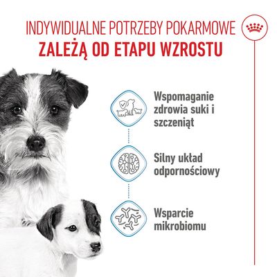 Grafika z trzema punktami: wspomaganie zdrowia suki i szczeniąt, silny układ odpornościowy, wspomaganie mikrobiomu. Przedstawiony pies.