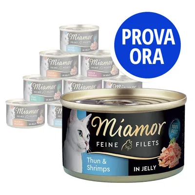 Miamor Feine Filets in Jelly, lattina visibile con etichetta Thun & Shrimps. In alto a destra cerchio blu con testo bianco: PROVA ORA. Miamor Feine Filets in Jelly, lattina visibile con etichetta Thun & Shrimps. In alto a destra cerchio blu con testo bianco: PROVA ORA.