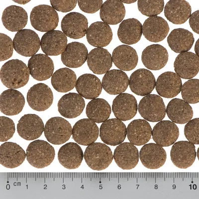 Ronde bruine brokjes droogvoer, diameter ca. 1 cm, met liniaal ter groottebepaling.