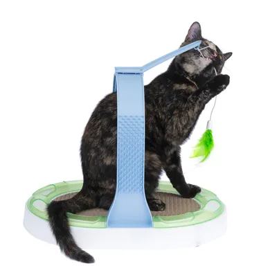 Legetøj til katte med grøn fjeranhænger, kradseflade og blå bue. Kat leger med anhængeren.