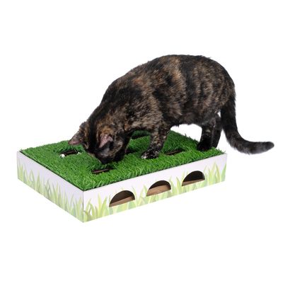 Legetøj til katte med kunstigt græs og huller, hvor katten kan stikke poterne igennem. Kartonbund med græslignende design.