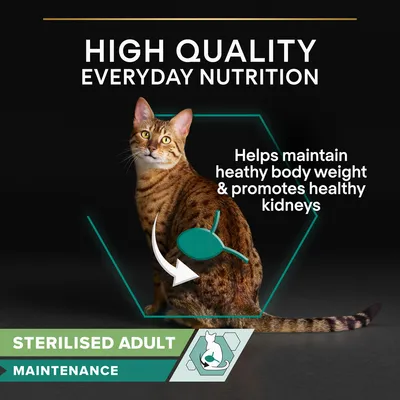 Tekst na engleskom: HIGH QUALITY EVERYDAY NUTRITION, Helps maintain healthy body weight & promotes healthy kidneys, STERILISED ADULT MAINTENANCE. Slika mačke s grafikom bubrega.