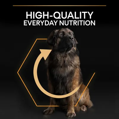 HIGH-QUALITY EVERYDAY NUTRITION (αγγλικά) με εικόνα μεγάλου σκύλου και γραφικό εξάγωνο με βέλος γύρω του. Το κείμενο δεν είναι διαθέσιμο αλλού στη σελίδα.