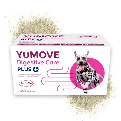 YuMOVE Digestive Care Plus with ActivBio, fast-acting high-strength formula to help firm stools, contains 6 sachets. Powder shown behind the box.