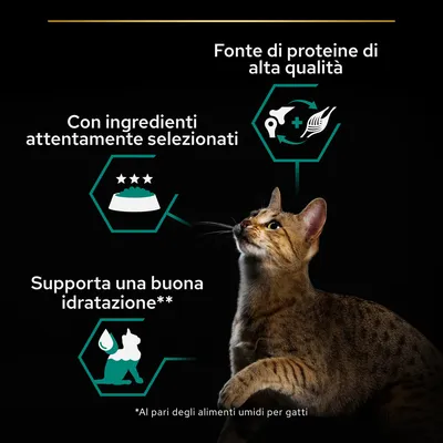 Fonte di proteine di alta qualità, con ingredienti attentamente selezionati, supporta una buona idratazione. Nota: al pari degli alimenti umidi per gatti.