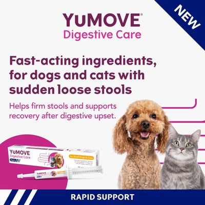 YuMOVE Digestive Care for dogs and cats with sudden loose stools. Fast-acting ingredients help firm stools and support recovery after digestive upset. Rapid support.