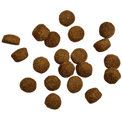 Brązowe, okrągłe kawałki suchej karmy o różnej wielkości, luźno rozłożone.