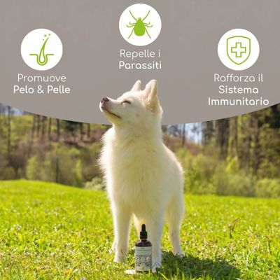 Wolfsbacher Natur Bio Olio di semi di cumino nero