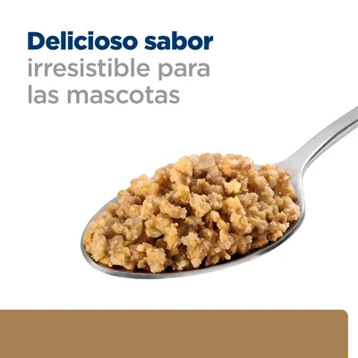 Cucharada de comida húmeda para mascotas con texto: Delicioso sabor irresistible para las mascotas.
