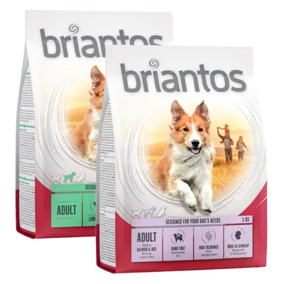Provalo! Set misto 2 x 1 kg Briantos Crocchette senza cereali per cani - 1 kg Agnello & Riso + 1 kg Salmone & Riso