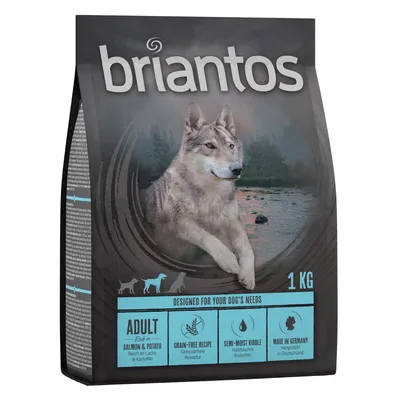 Briantos Adult Zalm & Aardappel - graanvrij Hondenvoer - Voordeelpakket: 4 x 1 kg