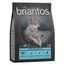 Briantos Adult Salmone & Patate - senza cereali Crocchette per cane 1 kg