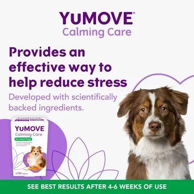 YuMOVE Calming Care claims to reduce stress with scientifically backed ingredients. Best results after 4-6 weeks of use. Product box and a dog are shown.