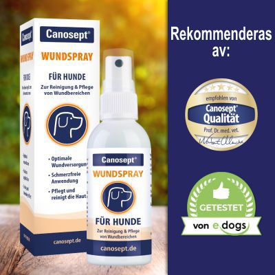 Canosept Wundspray für Hunde, synlig text: Zur Reinigung & Pflege von Wundbereichen. Rekommenderas av Canosept Qualität och testad av eDogs. Synliga certifikatmärken.