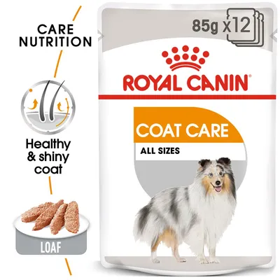 ROYAL CANIN COAT CARE ALL SIZES, 85 g x12. Grafika: zdrowa i lśniąca sierść, kawałki karmy loaf. Tekst: Care Nutrition, Healthy & shiny coat.