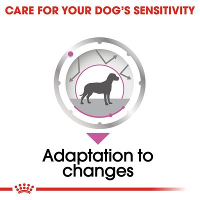 Tekst w języku angielskim: CARE FOR YOUR DOG'S SENSITIVITY, Adaptation to changes. Grafika psa w okręgu ze strzałkami wokół.