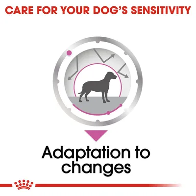 Tekst w języku angielskim: CARE FOR YOUR DOG'S SENSITIVITY, Adaptation to changes. Grafika psa w okręgu ze strzałkami wokół.