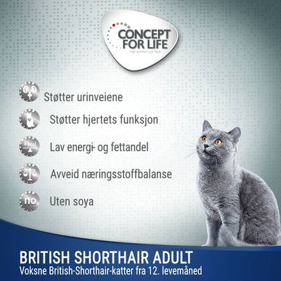 Concept for Life British Shorthair Adult (Ragout-kvalitet)