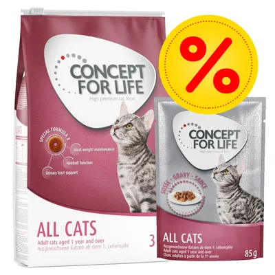 Pienso y sobre de comida para gatos Concept for Life All Cats, visible texto: 'Adult cats aged 1 year and over', 'Special Formula', 'Ideal weight maintenance', 'Hairball function', 'Urinary tract support'.