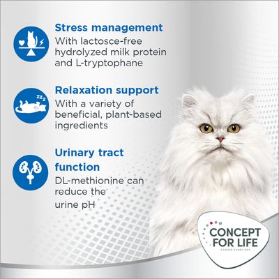 Concept for Life Calm