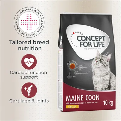 Concept for Life Maine Coon cat food, 10kg chicken, highlights tailored breed nutrition, cardiac function support, and cartilage and joint protection. Developed with veterinarians.