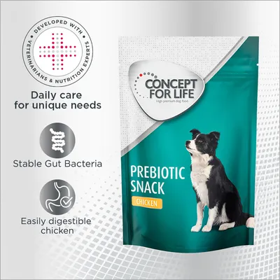 Concept for Life Prebiotic Snack kana - säästöpakkaus: 3 x 80 g