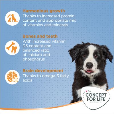 Concept for Life Medium Junior