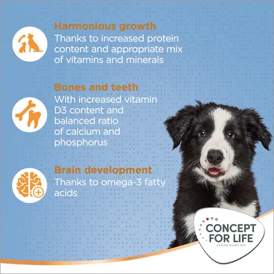 Concept for Life Medium Puppy & Junior - säästöpakkaus: 4 x 1,5 kg
