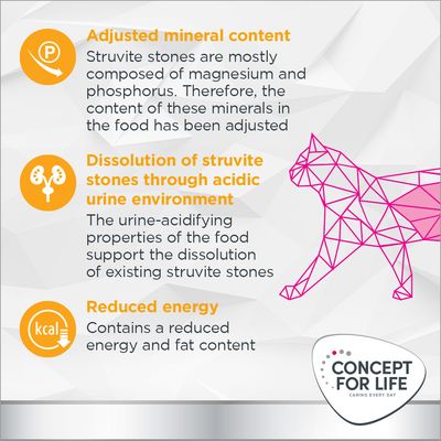 Key features: adjusted mineral content, supports dissolution of struvite stones through acidic urine environment, and reduced energy and fat content. Concept for Life brand.