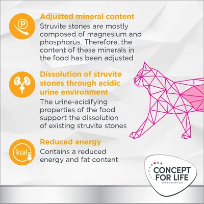 Key features: adjusted mineral content, supports dissolution of struvite stones through acidic urine environment, and reduced energy and fat content. Concept for Life brand.