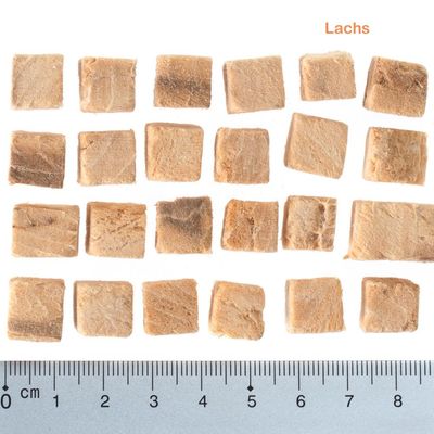 Кубики лакомства, выложенные рядом с линейкой для измерения размера; в верхнем углу надпись на немецком языке: Lachs.