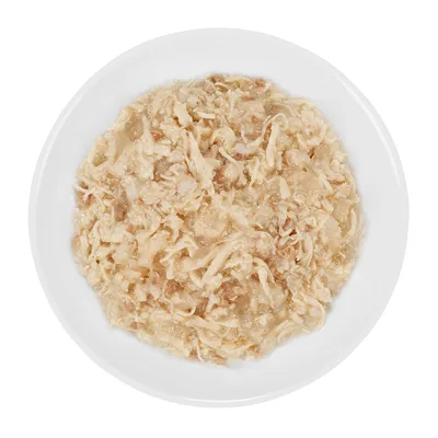 Nourriture humide pour animaux présentée dans une assiette blanche, texture effilochée et morceaux en sauce, sans marque ni texte visible.