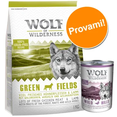 Wolf of Wilderness Green Fields 1 kg, ricetta 100% grain-free, e lattina Wild Hills. Etichetta arancione con testo: Provami!