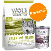 Set prova misto! Wolf of Wilderness Adult secco + umido - Oak Woods - Cinghiale