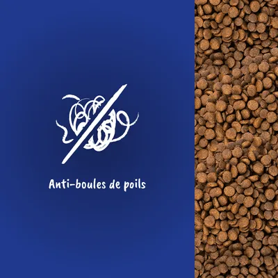 Texte visible : Anti-boules de poils, avec illustration d’un symbole barré et croquettes visibles à droite de l’image.