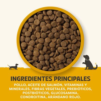 Ingredientes principales: pollo, aceite de salmón, vitaminas y minerales, fibras vegetales, prebióticos, postbióticos, glucosamina, condroitina, arándano rojo.