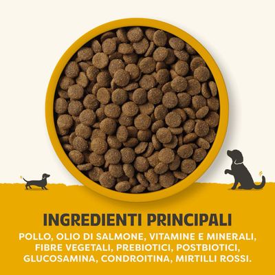Ingredienti principali: pollo, olio di salmone, vitamine e minerali, fibre vegetali, prebiotici, postbiotici, glucosammina, condroitina, mirtilli rossi.