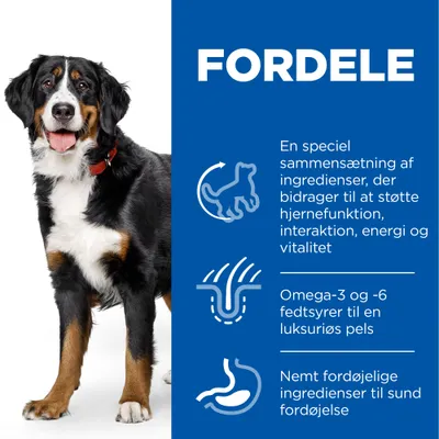FORDELE: En speciel sammensætning af ingredienser, der bidrager til at støtte hjernefunktion, interaktion, energi og vitalitet. Omega-3 og -6 fedtsyrer til pels. Nemt fordøjelige ingredienser.