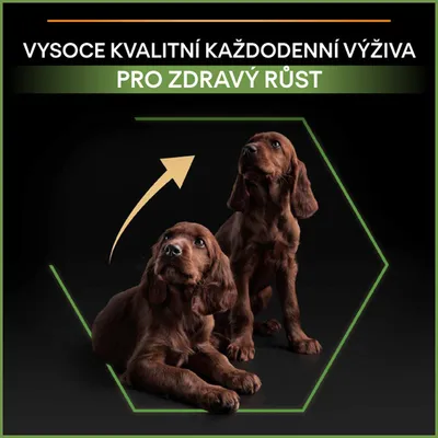 VYSOCE KVALITNÍ KAŽDODENNÍ VÝŽIVA PRO ZDRAVÝ RŮST, dva štěňata, šipka ukazující růst nahoru