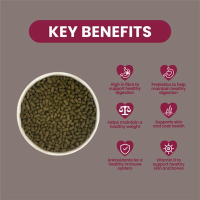 Burgess Excel Indoor Guinea Pig Nuggets - Economy Pack: 2 x 1.5kg