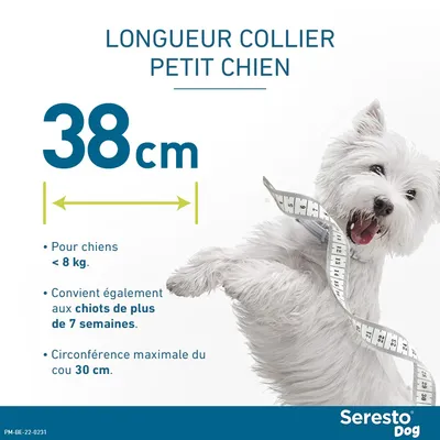 Collier antiparasitaire Seresto® pour petit chien (≤ 8 kg) - 1 collier petit chien ≤ 8 kg, 38 cm