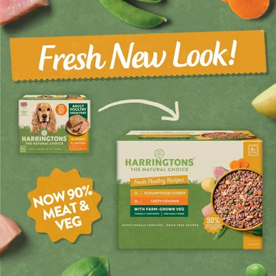 Harringtons Fresh Poultry Recipes packaging update, highlighting new look and formula with 90% meat and veg. Includes turkey and chicken varieties for adult dogs. Grain free.