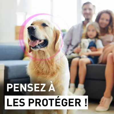 Texte : Pensez à les protéger ! Un grand chien assis devant un canapé, entouré d'une famille en arrière-plan. Cercle rose autour de la tête du chien.