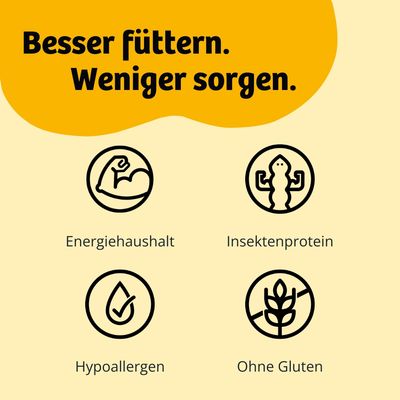 BugBell Energy Wonder Trockenfutter für Hunde, 800g. Kürbis, Banane & Chiasamen als Energiequellen. Hypoallergen, ohne Zucker, Gluten oder Farbstoffe. Made in Germany, nachhaltig.