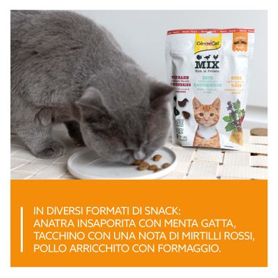 Il gatto mangia snack da un piatto, accanto confezione di GimCat Mix Snack con testo: Anatra con erba gatta, pollo con formaggio, tacchino con mirtilli rossi. Diversi formati di snack.