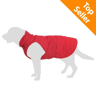 Cane sagomato che indossa un cappotto trapuntato rosso con chiusura a strappo. In alto a destra, etichetta arancione con testo: Top Seller. Cane sagomato che indossa un cappotto trapuntato rosso con chiusura a strappo. In alto a destra, etichetta arancione con testo: Top Seller.