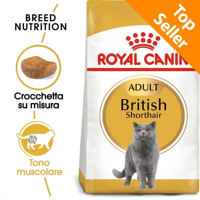 ROYAL CANIN ADULT British Shorthair, crocchetta su misura, tono muscolare, Top Seller. Immagine di confezione con gatto grigio e dettagli visibili sul prodotto.
